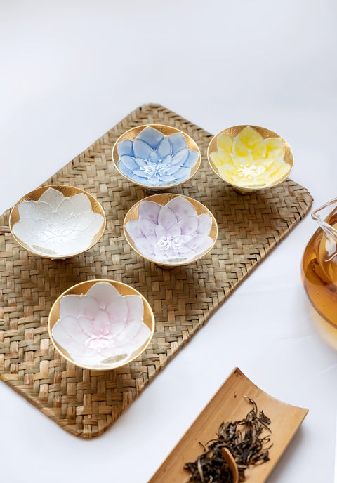 Arita Ware Hand-Painted Lotus Tea Cup Gift Set