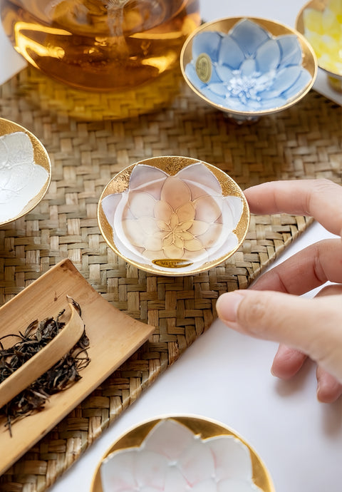 Arita Ware Hand-Painted Lotus Tea Cup Gift Set